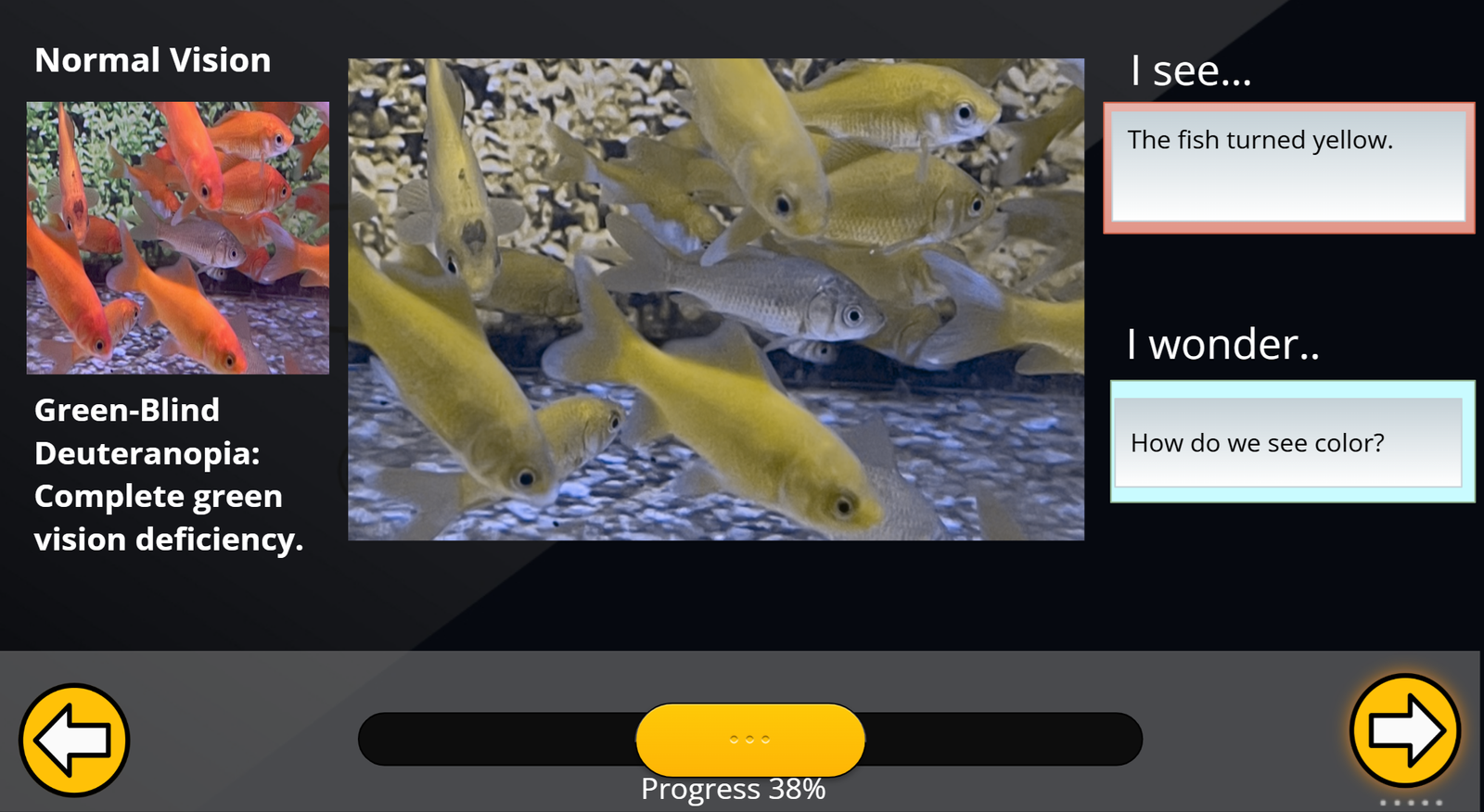Fish Web Screenshot