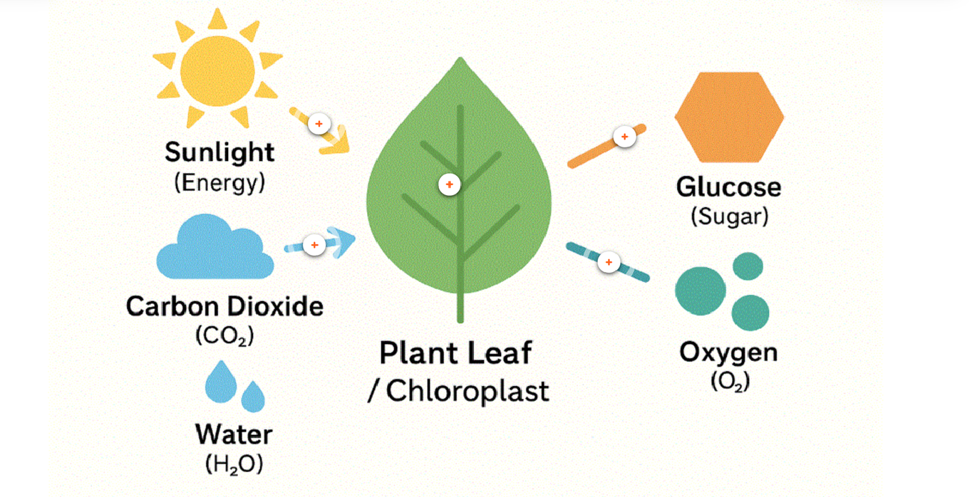 Microlearning Lesson Screenshot 2