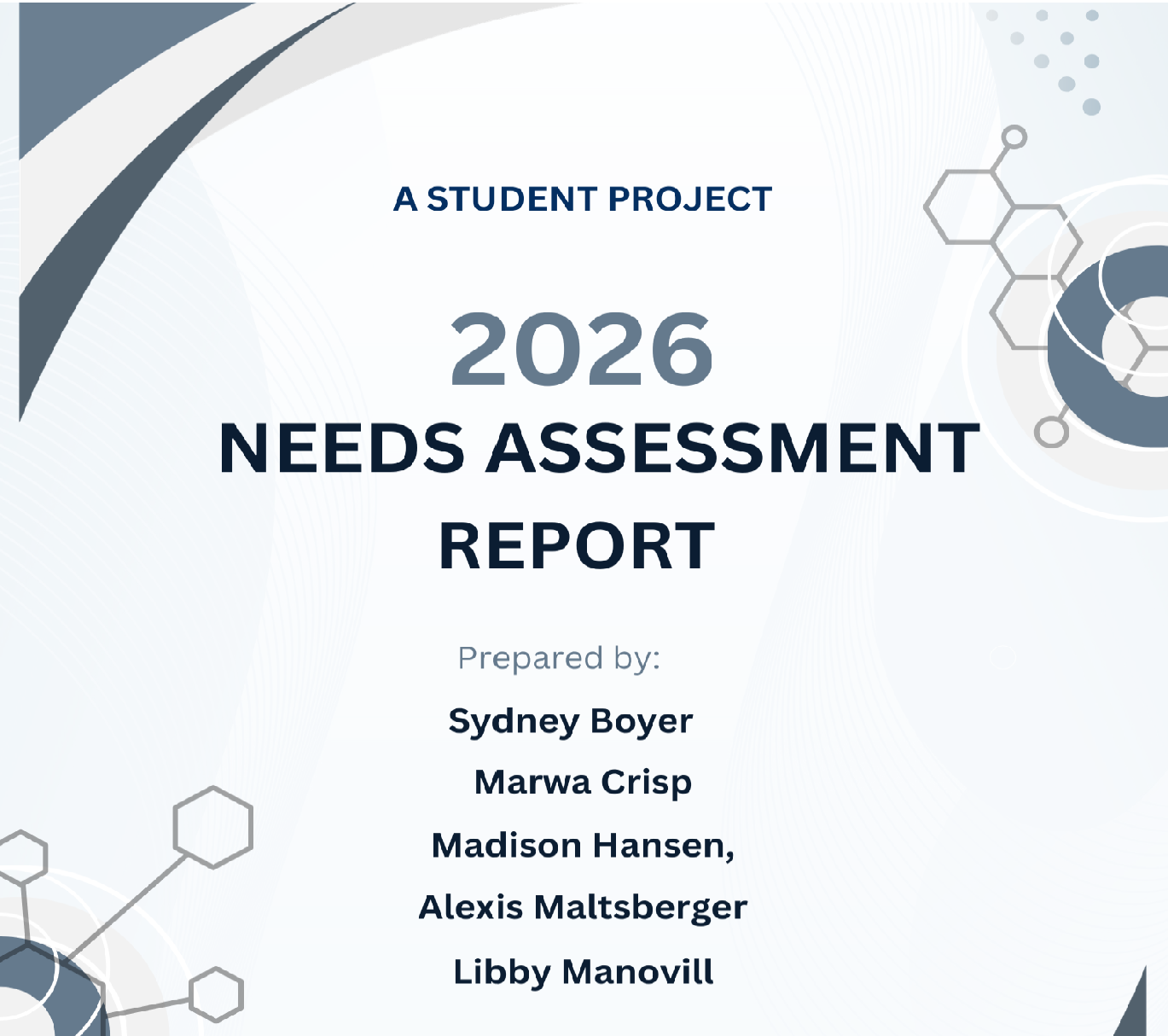 Needs Assessment Overview